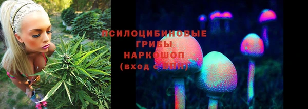 трава Карпинск