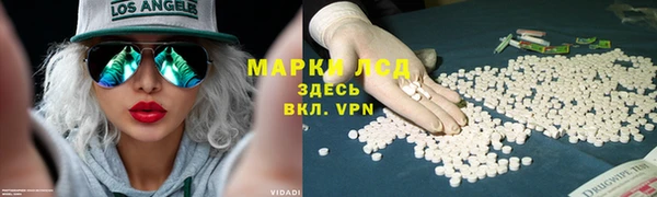spice Каменногорск