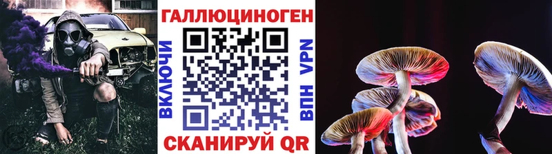 Купить закладки  Балашов  Галлюциногенные грибы Cubensis 